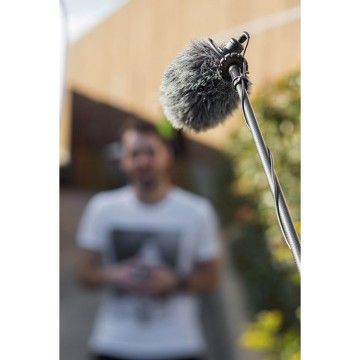 Boompole Pro Micro