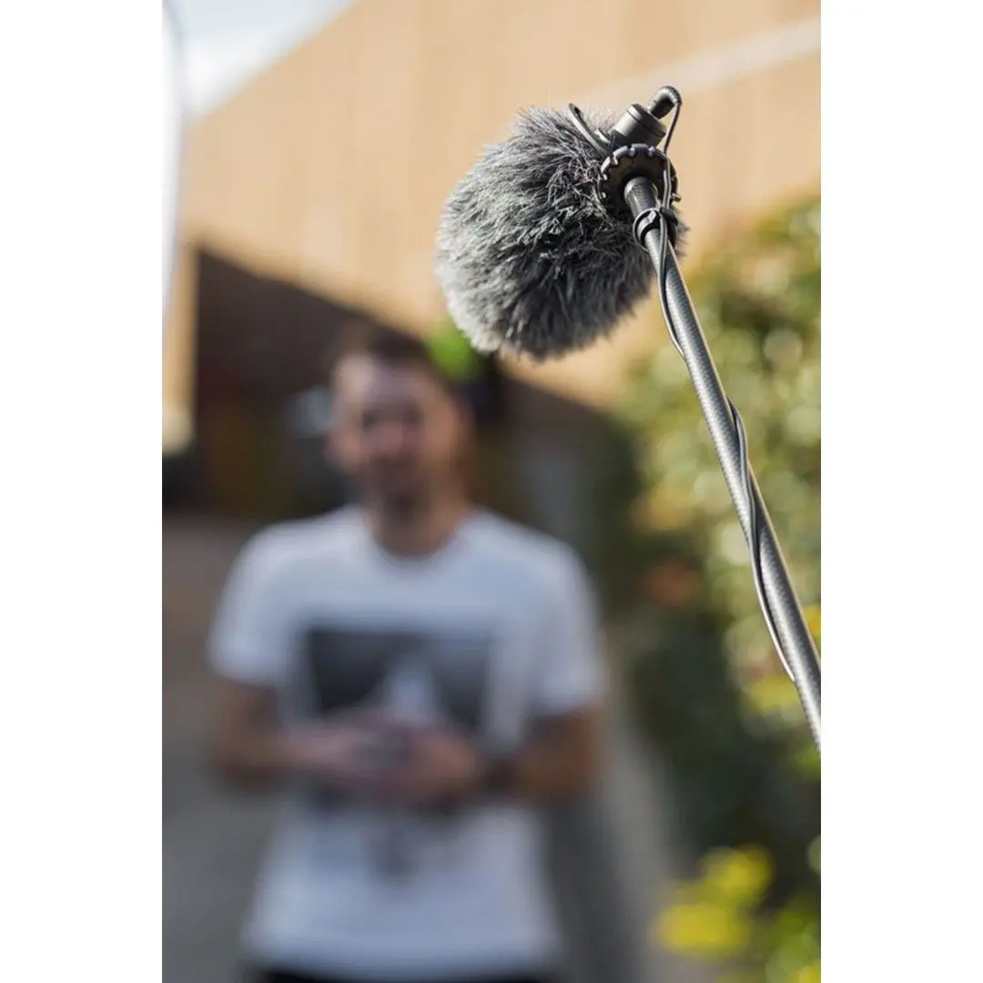 Boompole Pro Micro