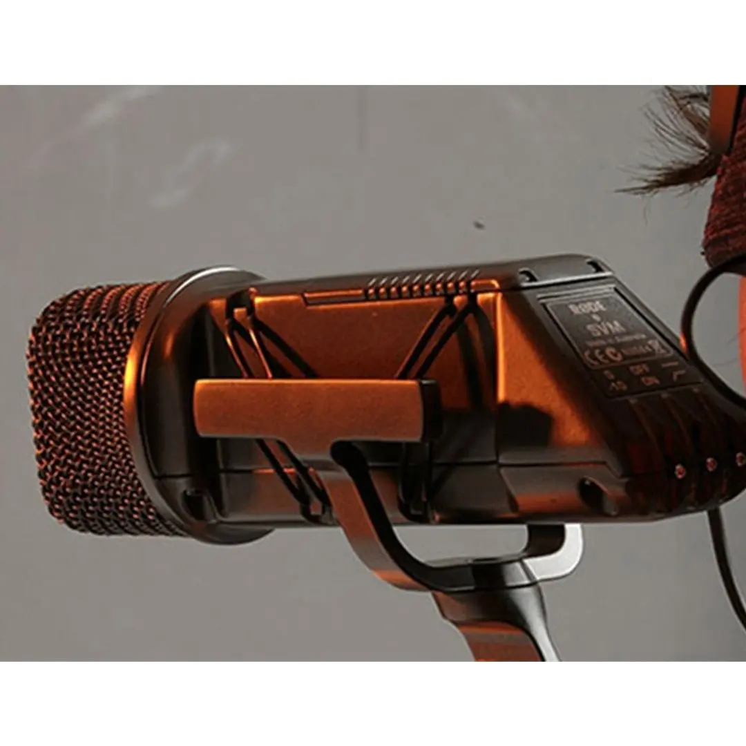 Stereo VideoMic