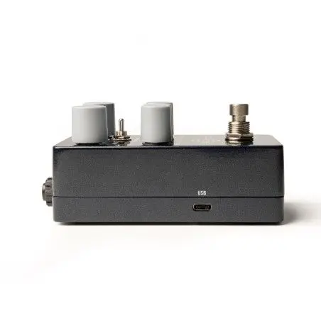 UAFX Orion Echo Pedal