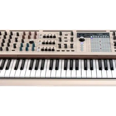 PolyBrute 12