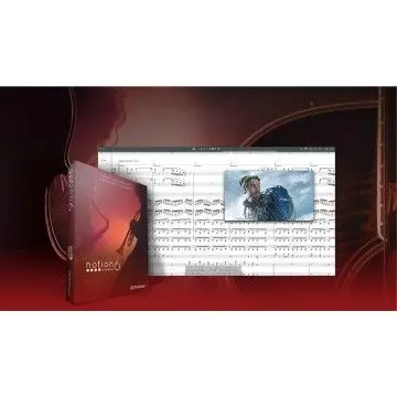 Notion 6
